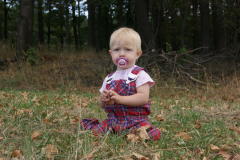 SONY DSC