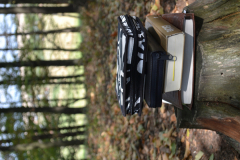 1_DSC_7807