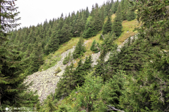 IMG_20200827_094605