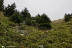 IMG_20200827_094718