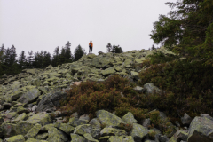 IMG_20200827_101414