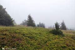IMG_20200827_102150