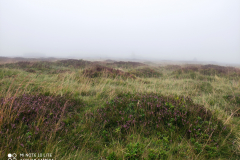 IMG_20200827_104024