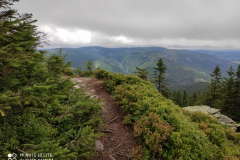 IMG_20200827_110458