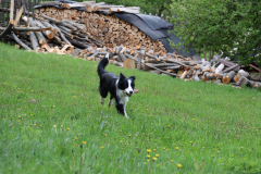 IMG_1203