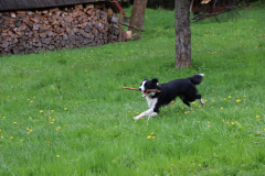 IMG_1254