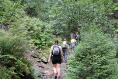 IMG_9701