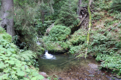 IMG_9702