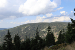 IMG_9770