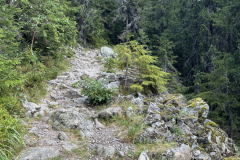 IMG_4470