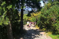 IMG_20240812_134105