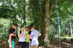 IMG_4156