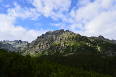 DSC_0805
