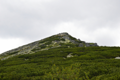 DSC_1293