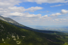 DSC_1298